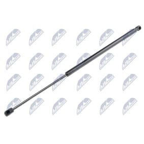 Gasfeder, Heckscheibe AE-LR-010 von NTY günstig für 12,26 € online kaufen