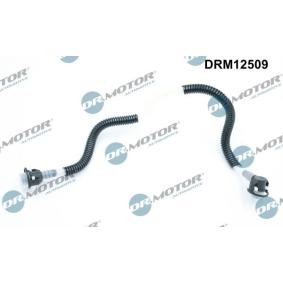 Schlauch, Leckkraftstoff DRM12509