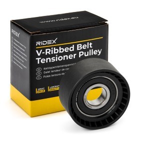 Compre Rolo tensor, correia trapezoidal estriada da RIDEX 310T0487 a um preço baixo por 15,59 €