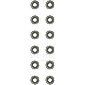 Comprar Juego de juntas, vástago de válvula de REINZ 12-18919-01 a bajo precio de 15,01 €
