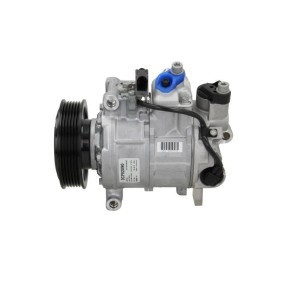 Acquista Compressore aria condizionata da BV PSH 090.195.009.260 a buon mercato per soli 1702,05 €