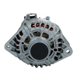 Lichtmaschine von BV PSH
