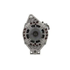 Lichtmaschine 255.519.090.120