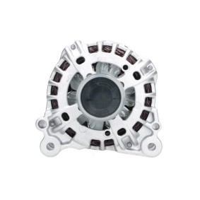 Lichtmaschine von BV PSH