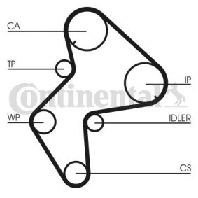 Achetez des Kit de distribution + pompe à eau CONTITECH CT775WP1 à prix pour 214,78 €