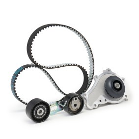 Achetez des Kit de distribution + pompe à eau DAYCO KTBWP9170K à prix pour 137,54 €