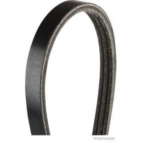 Keilrippenriemen J1030798