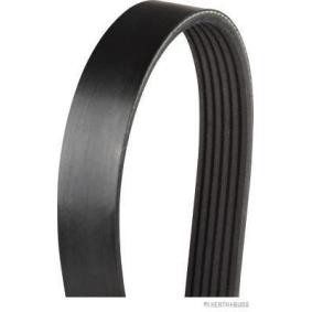 Achetez des Courroie Poly-V HERTH+BUSS JAKOPARTS J1061033 à prix pour 19,61 €