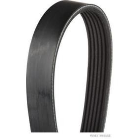 Achetez des Courroie Poly-V HERTH+BUSS JAKOPARTS J1061353 à prix pour 15,20 €