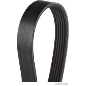 Achetez des Courroie Poly-V HERTH+BUSS JAKOPARTS J1062093 à prix pour 30,89 €
