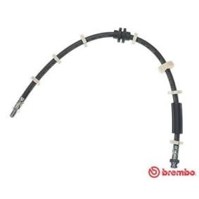 Bremsschlauch von BREMBO T 23 031