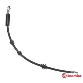Osta BREMBO Jarruletku netistä KAPPA SW (838B)-mallille edulliseen hintaan