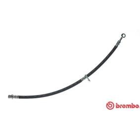 Comprar Latiguillo de freno de BREMBO T 52 008 a bajo precio de 19,34 €