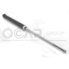Compre Amortecedor da OCAP 82222RU a um preço baixo por 79,14 €