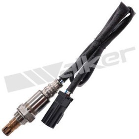 Köp Lambdasond av WALKER PRODUCTS 250-54125 till det låga priset 2429,68 kr