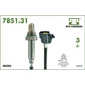 Lambdasonde von MTE-THOMSON 8436.40.046