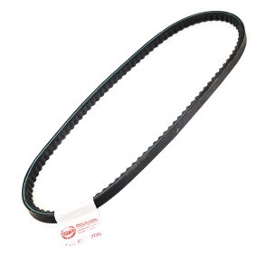 Keilriemen von MASTER-SPORT für 106 I (1A, 1C) günstig online kaufen