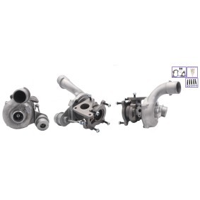 RENAULT Turbolader von DRI
