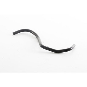 Köp Slang, ventilkåpsventilation av BSG BSG 65-700-398 till det låga priset 404,56 kr