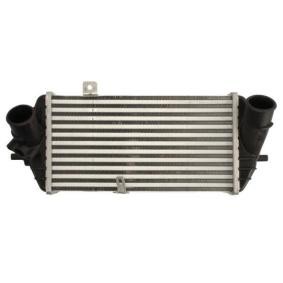 Köp Intercooler av THERMOTEC DA05007TT till det låga priset 984,80 kr