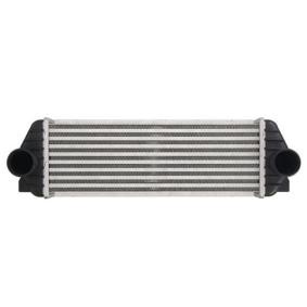 Köp Intercooler av THERMOTEC DAG021TT till det låga priset 974,68 kr