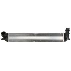 Köp Intercooler av THERMOTEC DAR018TT till det låga priset 1159,17 kr