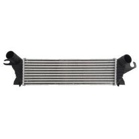 Köp Intercooler av THERMOTEC DAR019TT till det låga priset 765,62 kr