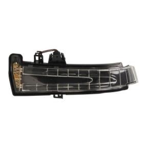 Blinker 5403-02-0809105P