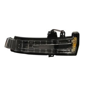 Blinker 5403-02-0809106P