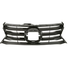 Kühlergrill 6502-07-8173990P