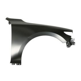Kotflügel 6504-04-3447316P von BLIC günstig für 36,11 € online kaufen