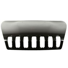 Achetez des Capot BLIC 6803-00-3206281AP à prix pour 510,05 €