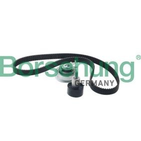 Compre Kit de distribución de Borsehung online para Octavia IV Combi (NX5) a precios moderados