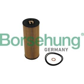 Achetez des Filtre à huile Borsehung B10544 à prix pour 13,24 €