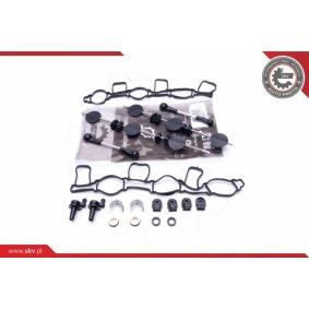 Reparatursatz, Saugrohrmodul von ESEN SKV 49SKV500