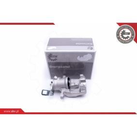 Bremssattel 50SKV293