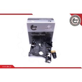 Köp Kontrollenhet, automatisk transmission av ESEN SKV 96SKV077 till det låga priset 2605,23 kr