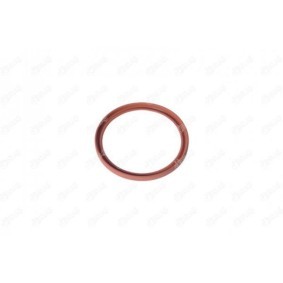 Achetez des Bague d'étanchéité, gaine de suralimentation IBRAS 11477 à prix pour 6,31 €