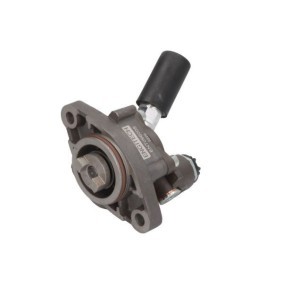 Kraftstoffpumpe ENT100015