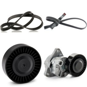 Achetez des Jeu de courroies trapézoïdales à nervures RIDEX 542R0693 à prix pour 95,39 €