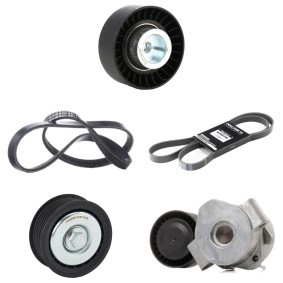 Achetez des Kit de courroie d'accessoire de chez RIDEX en ligne pour Jumper II Camion plate-forme/Châssis (250) à prix modérés