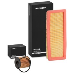 Filterset 4055F1040 MINI PACEMAN von RIDEX