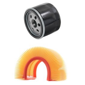 Compre Kit de filtros de RIDEX online para MEGANE II (BM0/1_, CM0/1_) a precios moderados