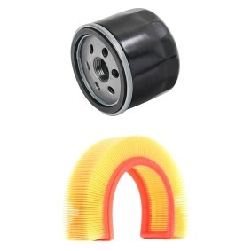 Compre Kit de filtros de RIDEX online para Scénic I (JA0/1_, FA0_) a preços moderados