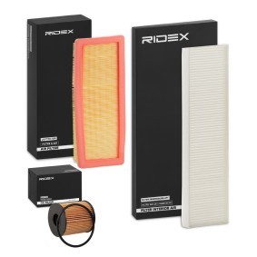Filterset 4055F3296 MINI PACEMAN von RIDEX