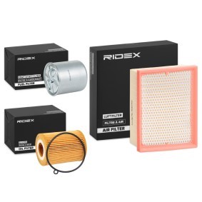 Compre Kit de filtros de RIDEX online para 300 C a precios moderados