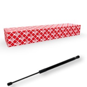 Compre Amortecedor da mala da FEBI BILSTEIN 174978 a um preço baixo por 43,41 €