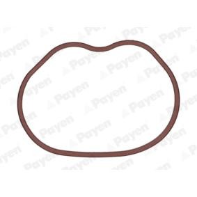 Acquista Guarnizione, Collettore aspirazione da PAYEN JD6166 a buon mercato per soli 10,09 €