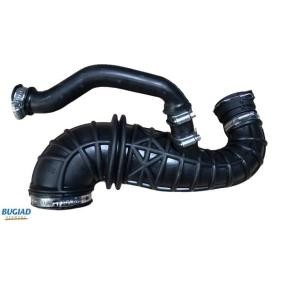 Compre Tubo flexível de admissão, filtro de ar da BUGIAD BIH18101 a um preço baixo por 63,48 €