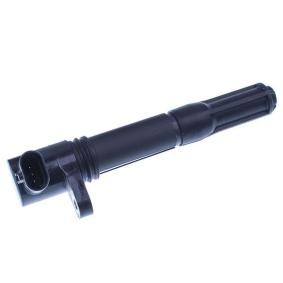 Zündspule E100013